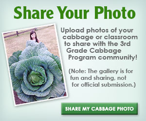 Ad a photo to our photo gallery