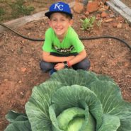 2017 - 2018 Winners - Bonnie Cabbage Program